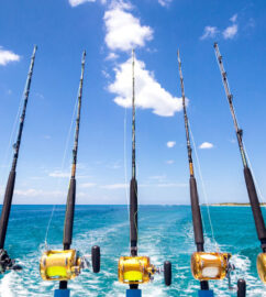 deep sea fishing in the Bahamas at the iConnect Training center